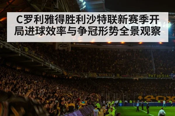 football stadium night crowd